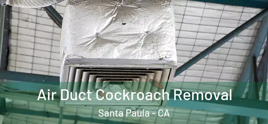 Air Duct Cockroach Removal Santa Paula - CA