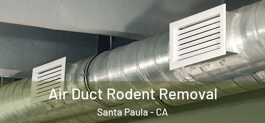 Air Duct Rodent Removal Santa Paula - CA