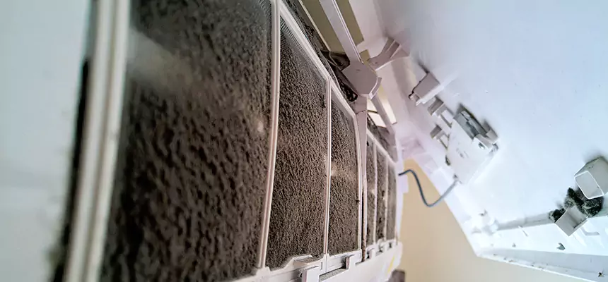 Preventive Air Duct Bacteria Removal in Santa Paula