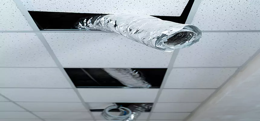 Our Air Duct Pet Hair Removal Services in Santa Paula, CA