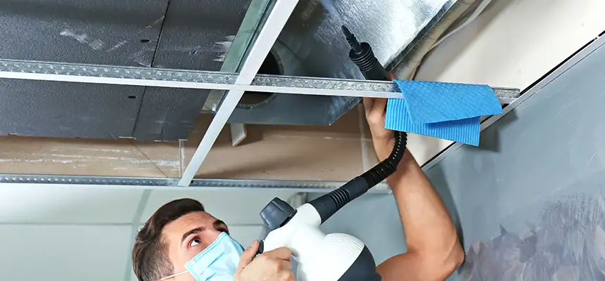 Our Air Duct Rodent Removal Services in Santa Paula, CA