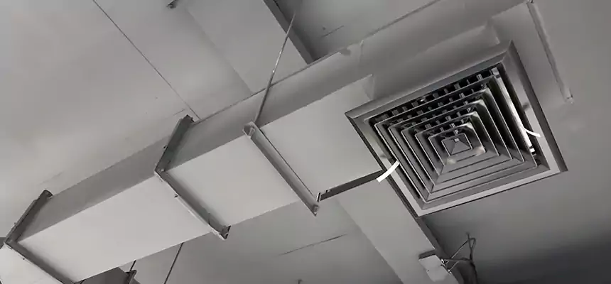 Our Rodent Droppings In Vents Services in Santa Paula, CA