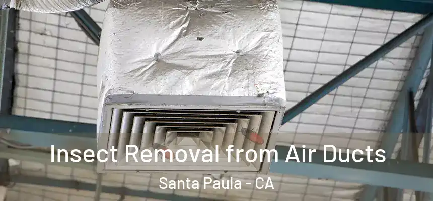 Insect Removal from Air Ducts Santa Paula - CA