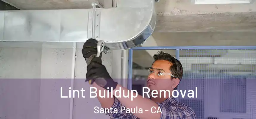  Lint Buildup Removal Santa Paula - CA