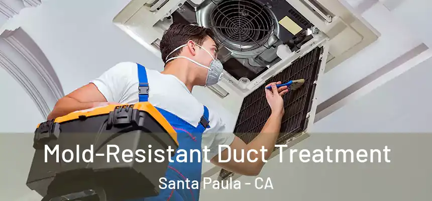 Mold-Resistant Duct Treatment Santa Paula - CA