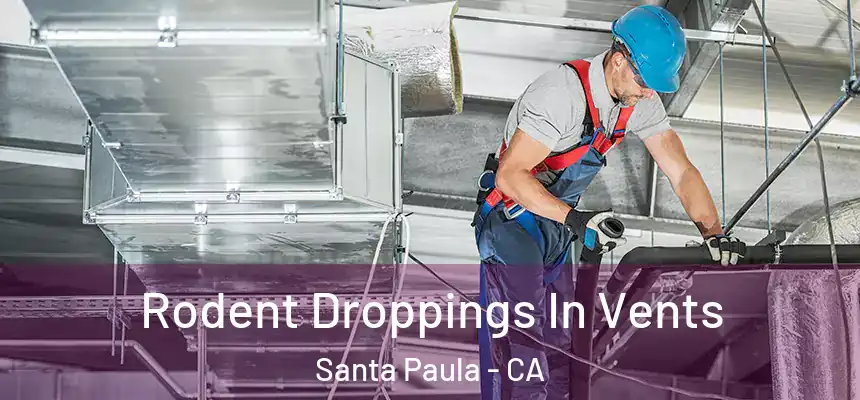 Rodent Droppings In Vents Santa Paula - CA