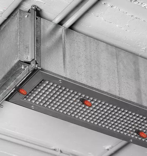 About Air Duct Cockroach Removal in Santa Paula, CA