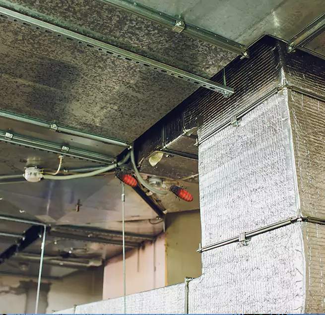 Why Homeowners & Businesses Trust Us in Santa Paula, CA?