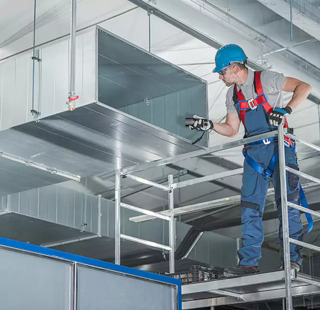 Why Homeowners & Businesses Trust Us in Santa Paula, CA?