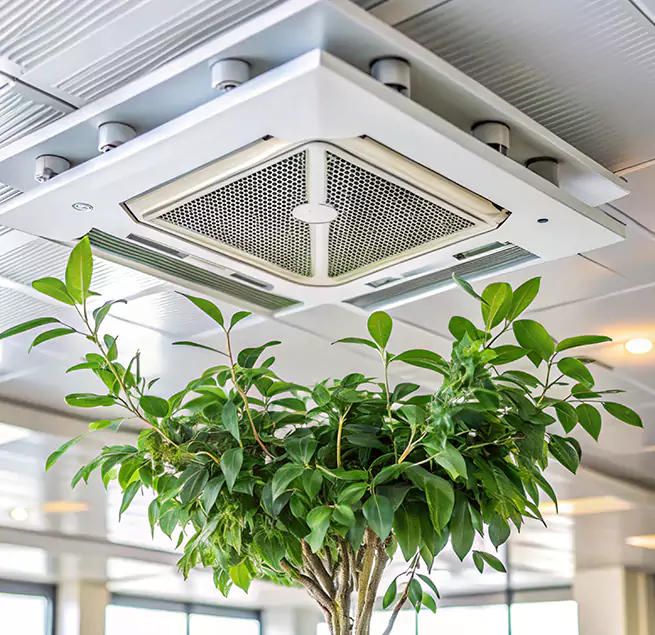 Why Homeowners & Businesses Trust Us in Santa Paula, CA?