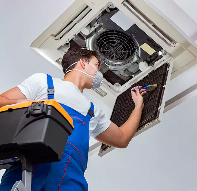 Why Homeowners & Businesses Trust Us in Santa Paula, CA?