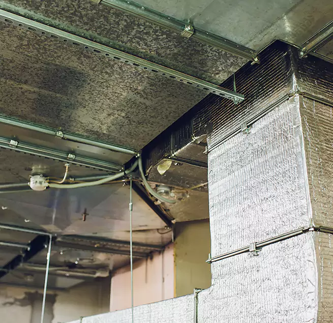 Why Homeowners & Businesses Trust Us in Santa Paula, CA?