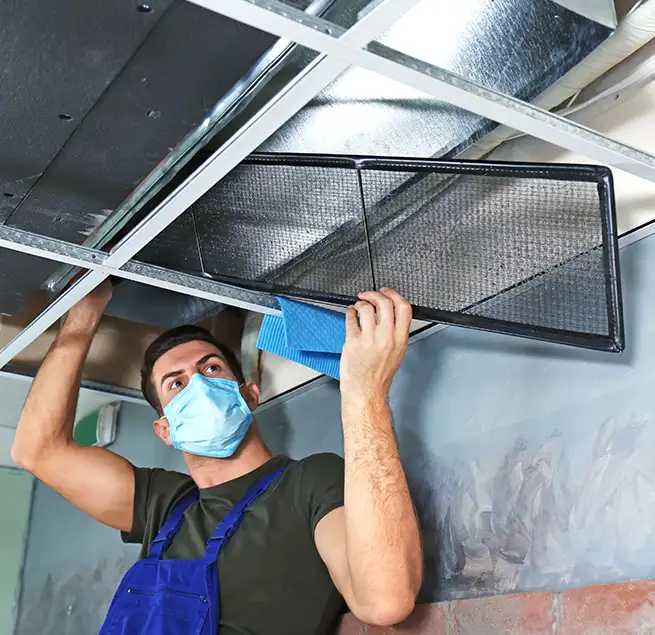 Why Homeowners & Businesses Trust Us in Santa Paula, CA?